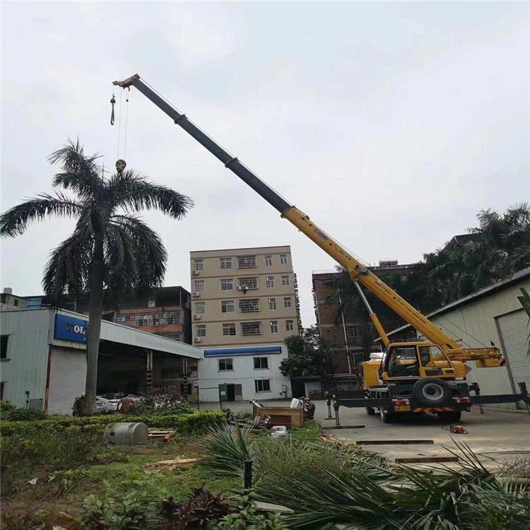 新野汽车吊出租多少钱？全面解析与市场行情